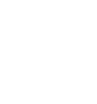 LV Logo