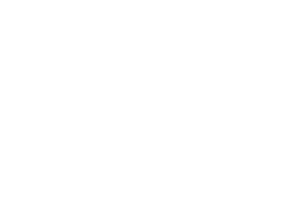 Pro Chile Image